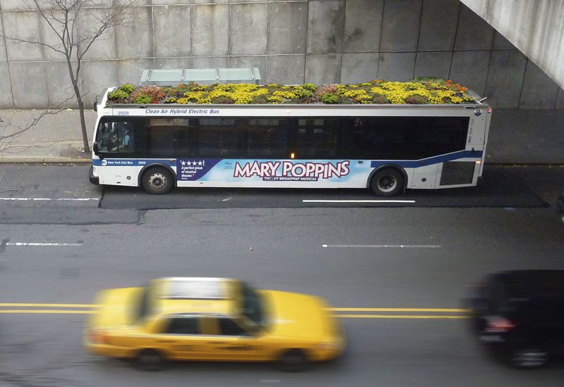 httpswww.diessa.esBusRoot-para-FB