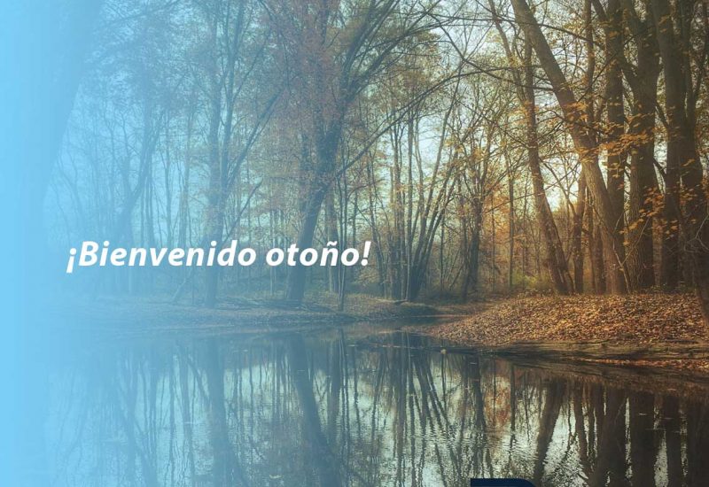 Bus driving on winter roads