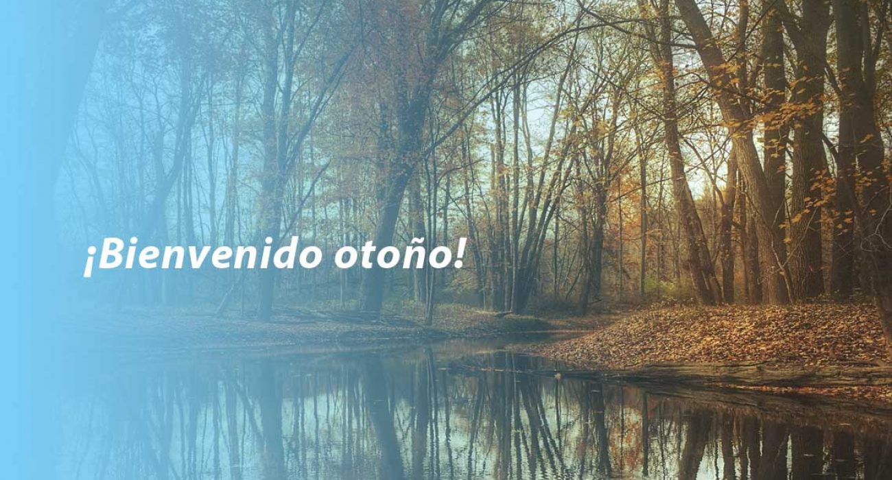 Bus driving on winter roads