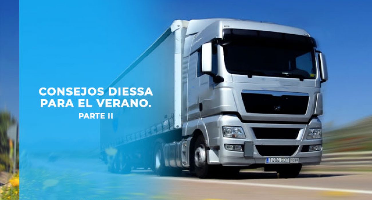 httpswww.diessa.esconsejos-de-verano-diessa