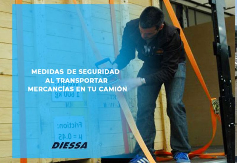 httpswww.diessa.esmedidas-de-seguridad