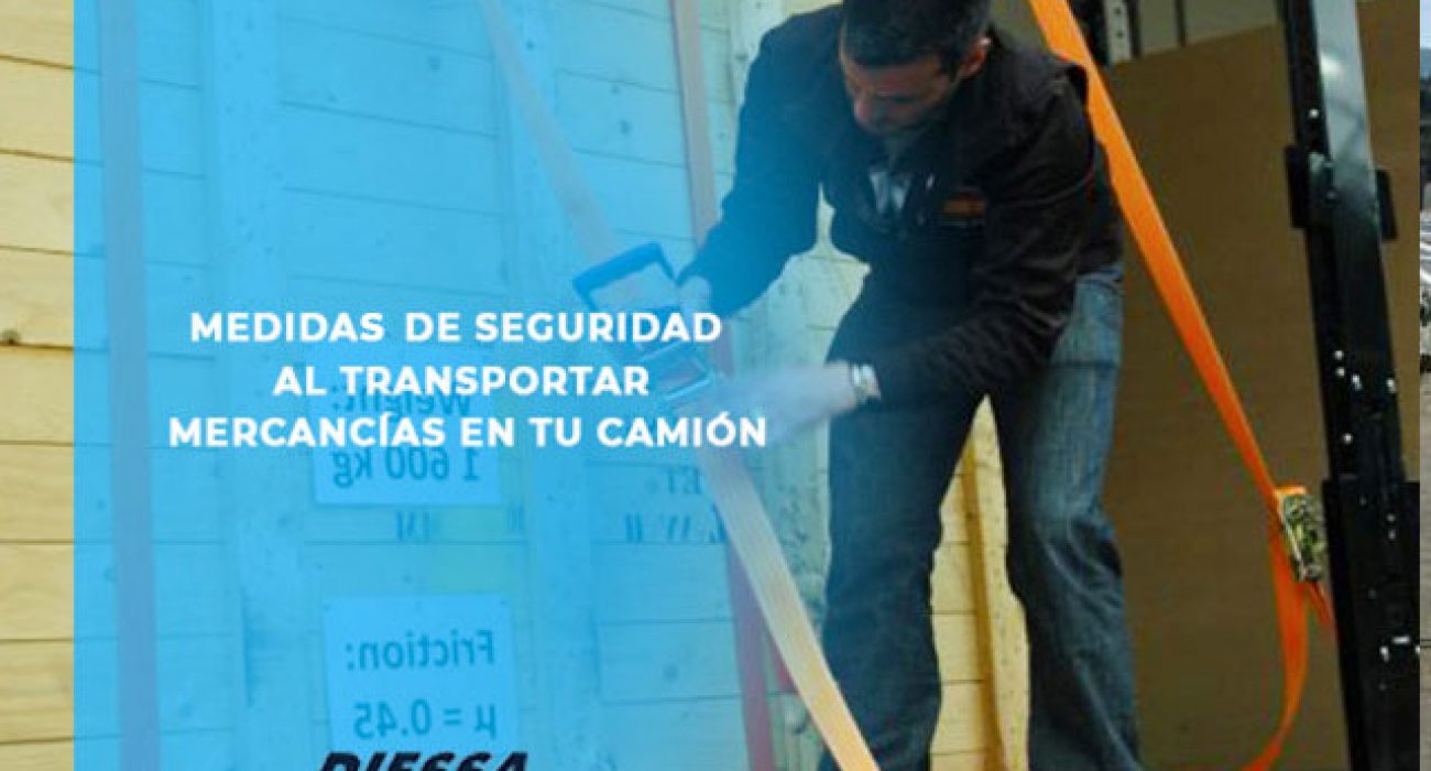 httpswww.diessa.esmedidas-de-seguridad