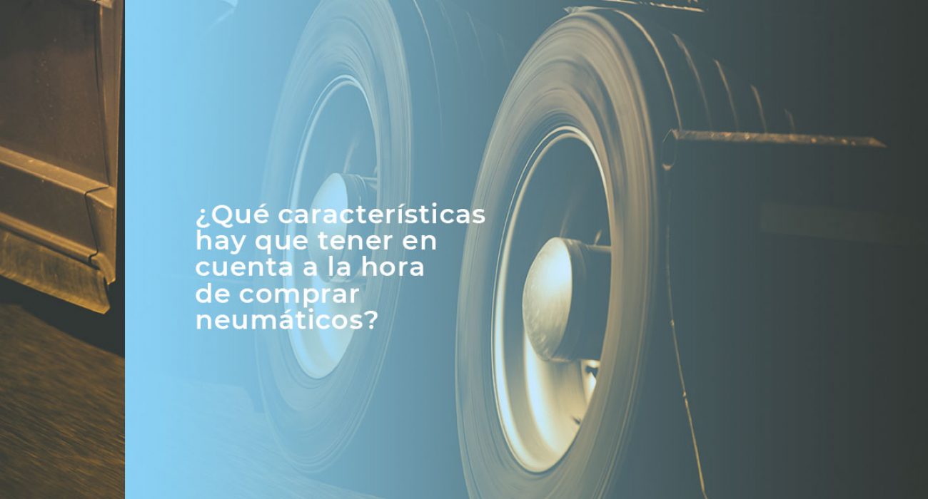 httpswww.diessa.esneumaticos