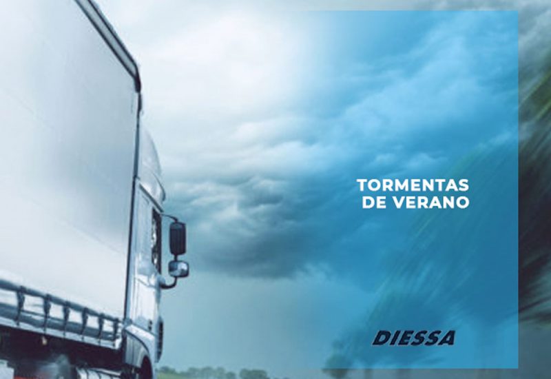 httpswww.diessa.estormentas-de-verano