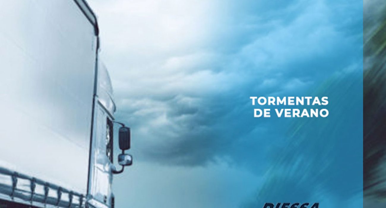 httpswww.diessa.estormentas-de-verano