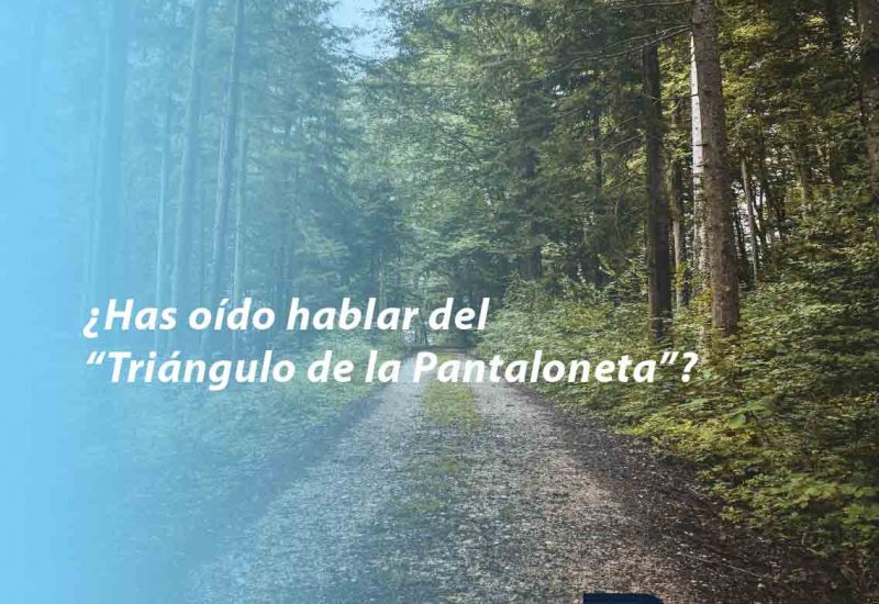 Bus driving on winter roads