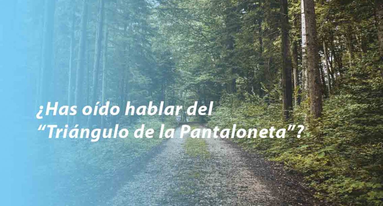 Bus driving on winter roads